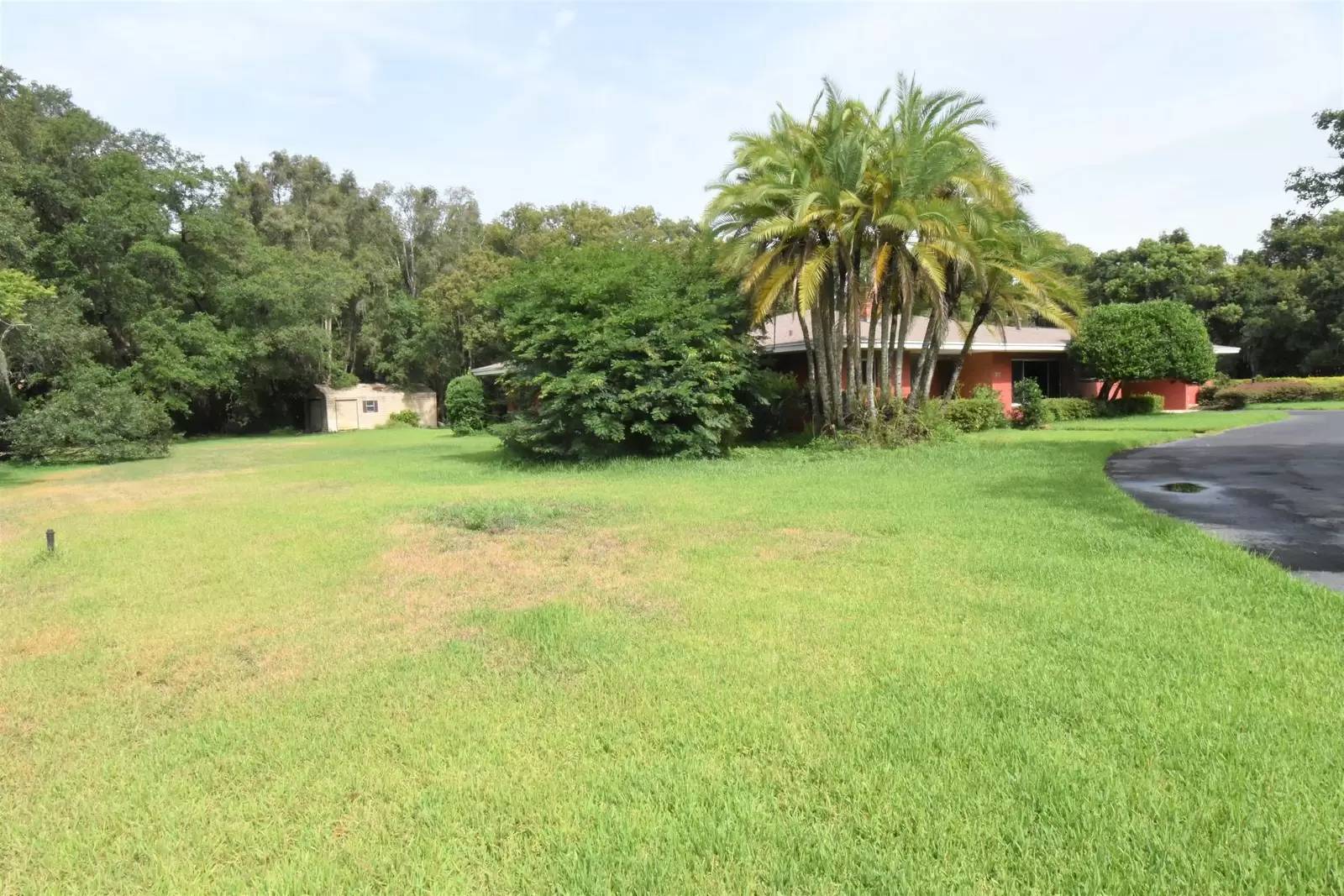 Property Image 54