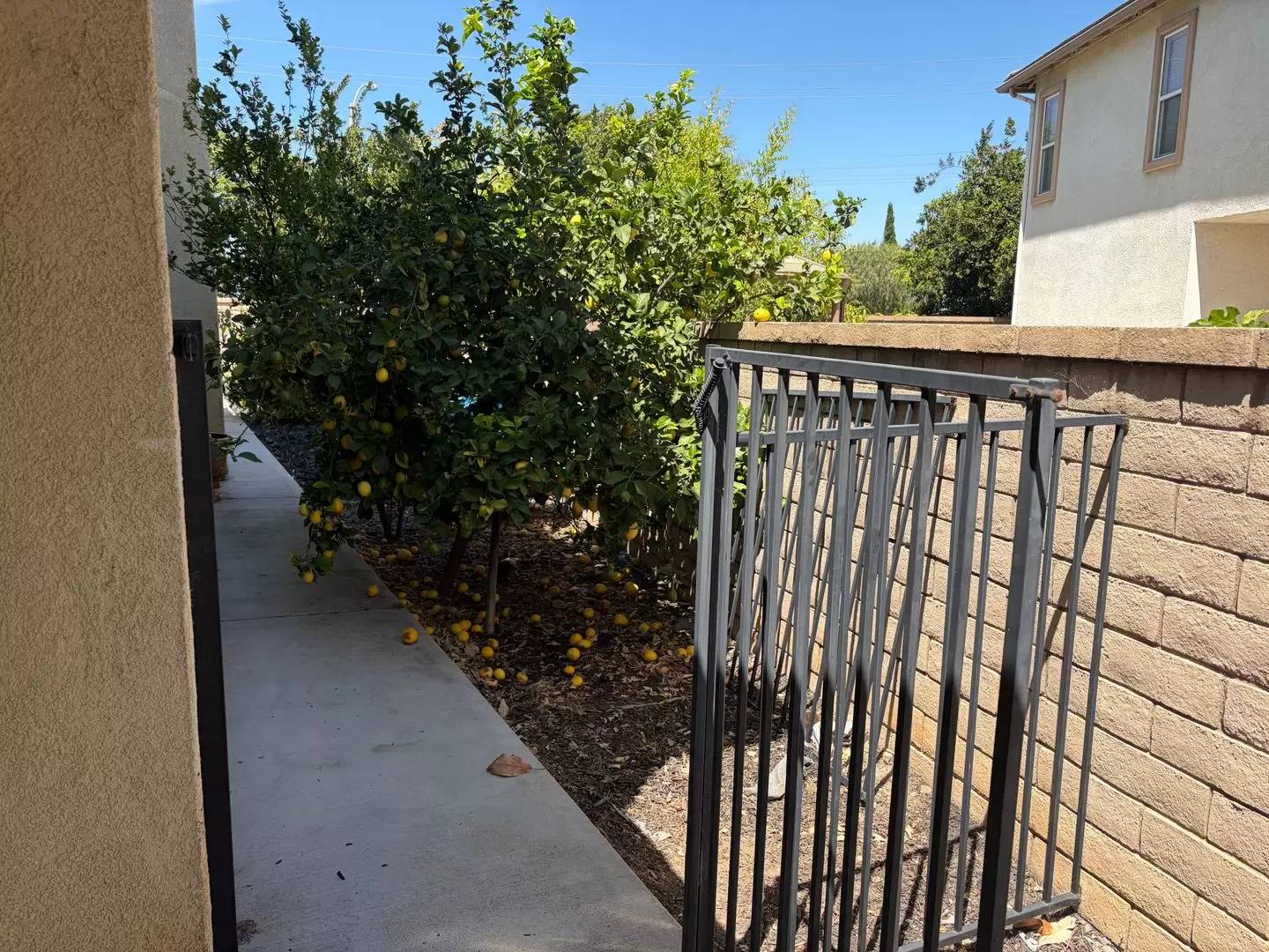 Property Image 48