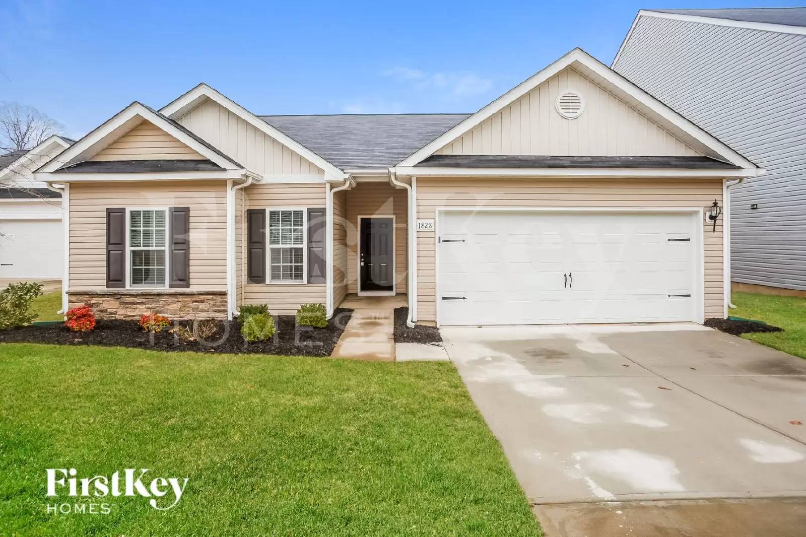 cover background