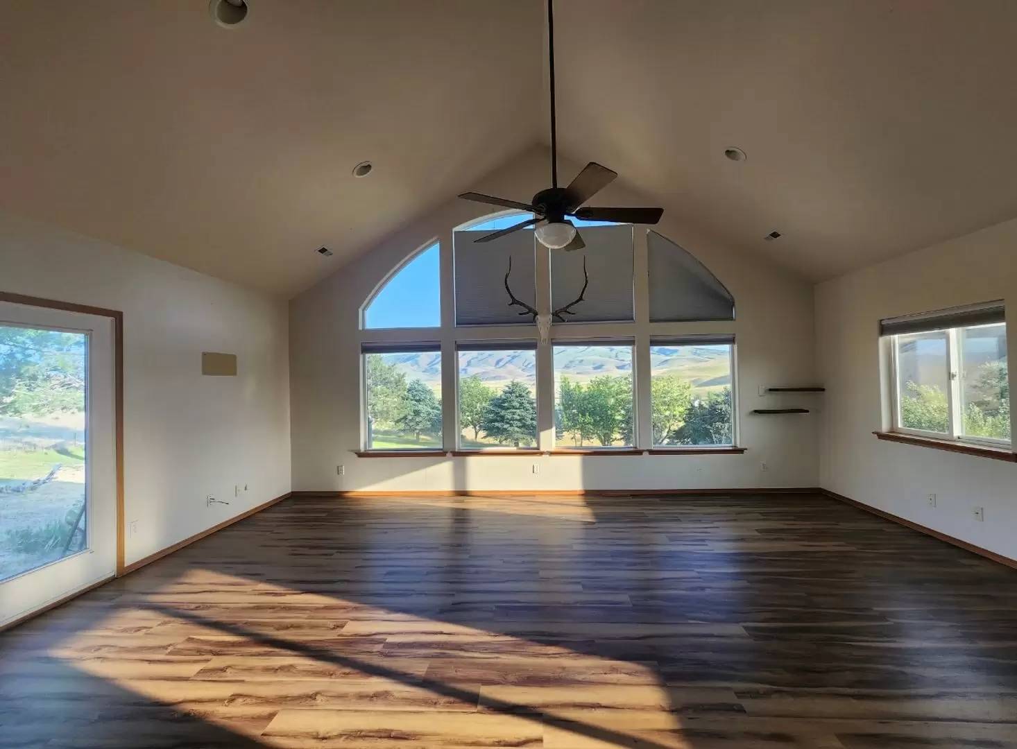 cover background