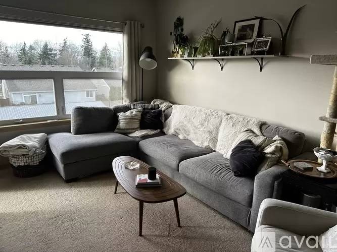 cover background
