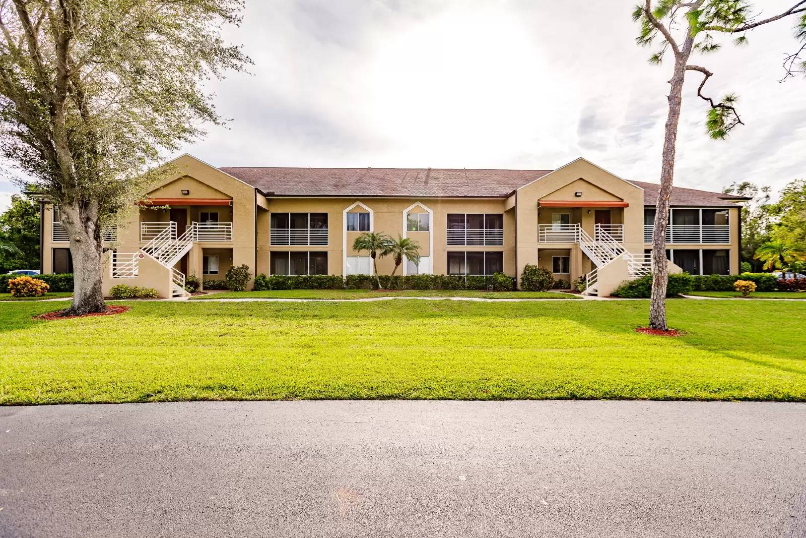cover background