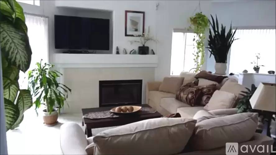 cover background