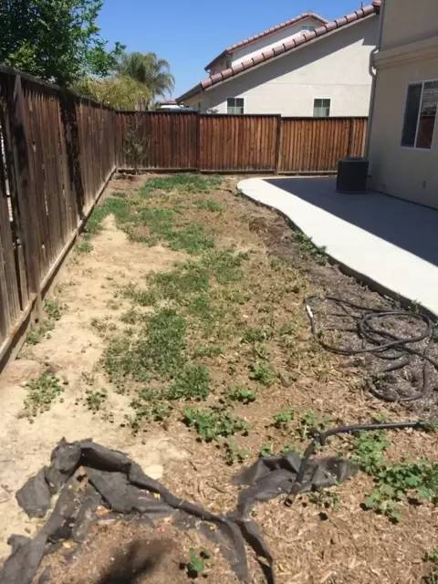 Property Image 58
