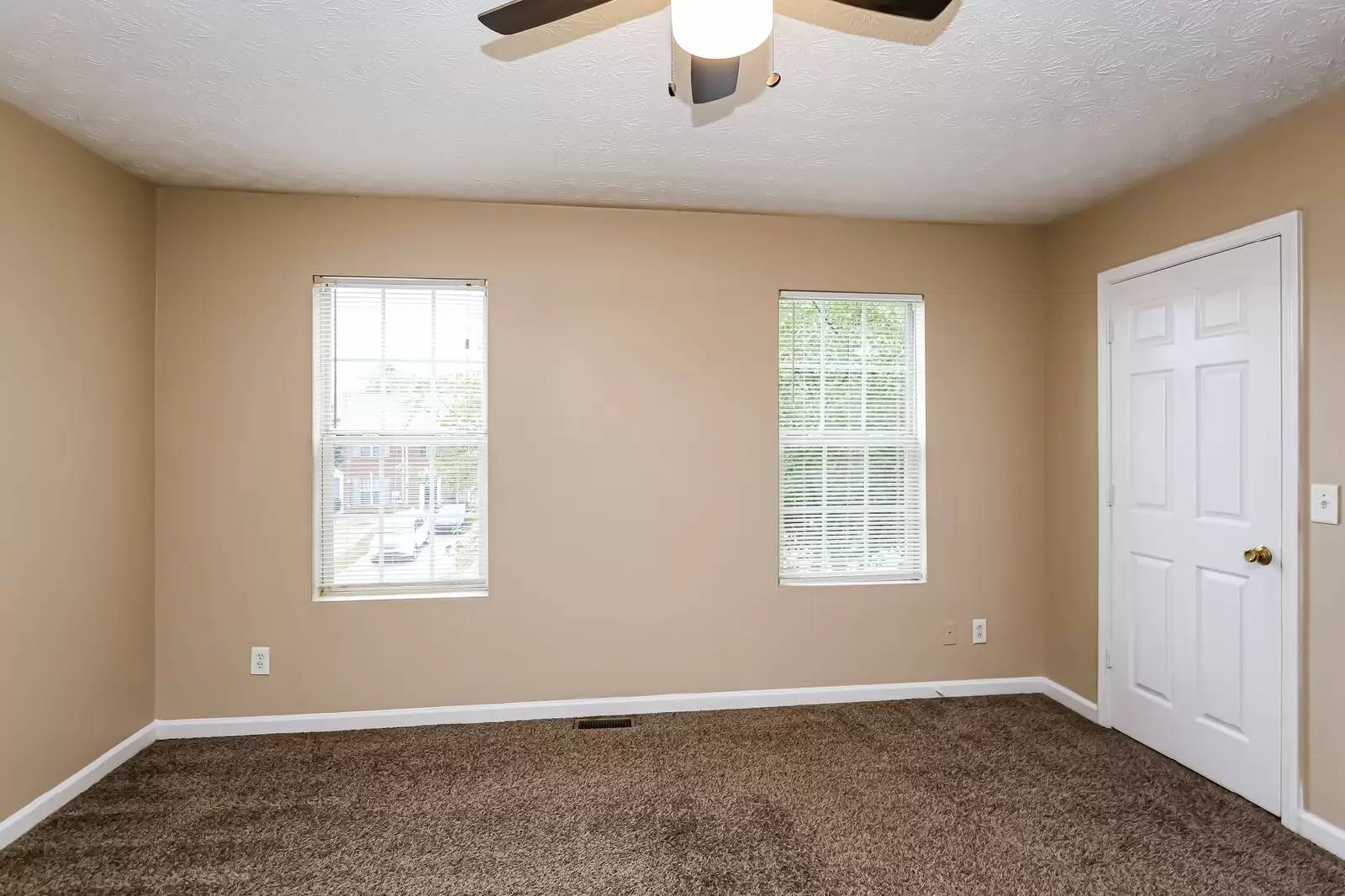 cover background