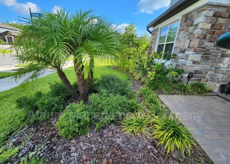 Property Image 56