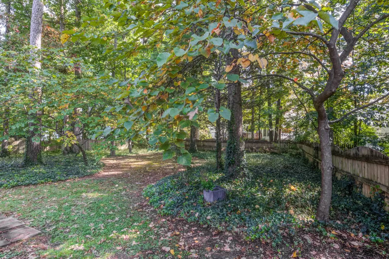 Property Image 57