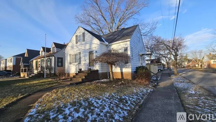 cover background