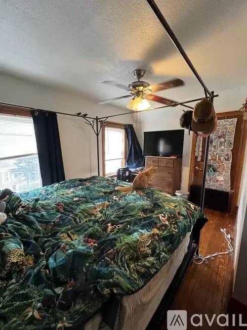 Property Image 13