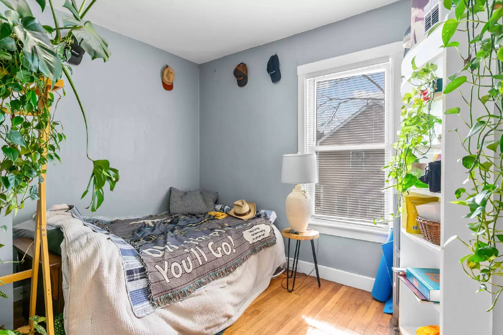 Property Image 21