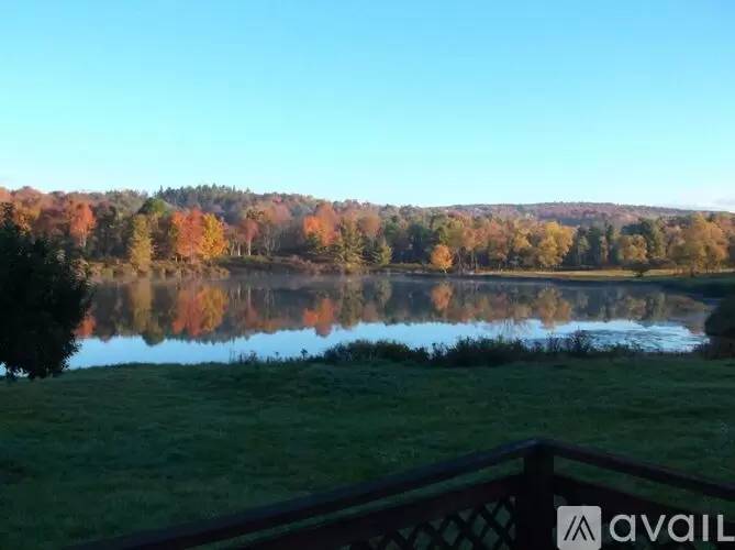cover background