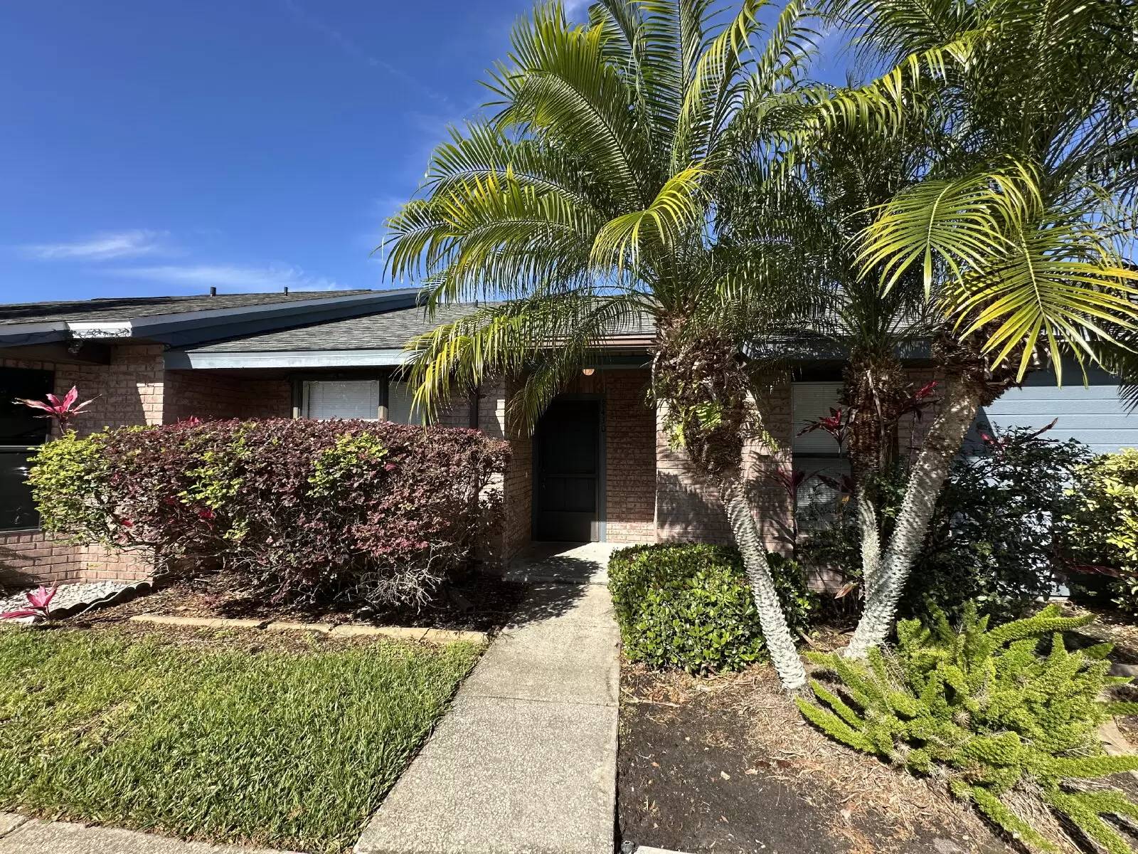 cover background