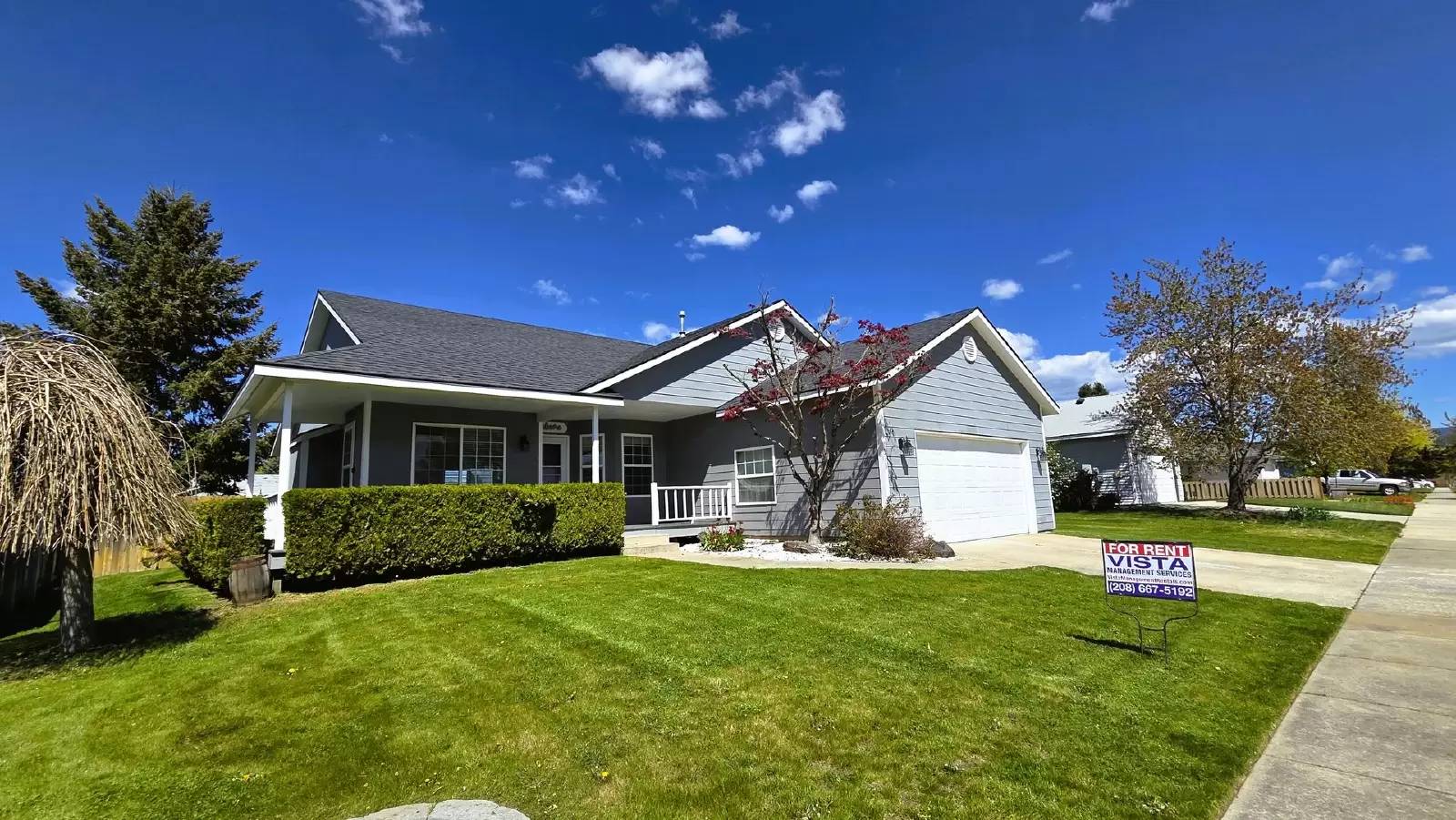 cover background