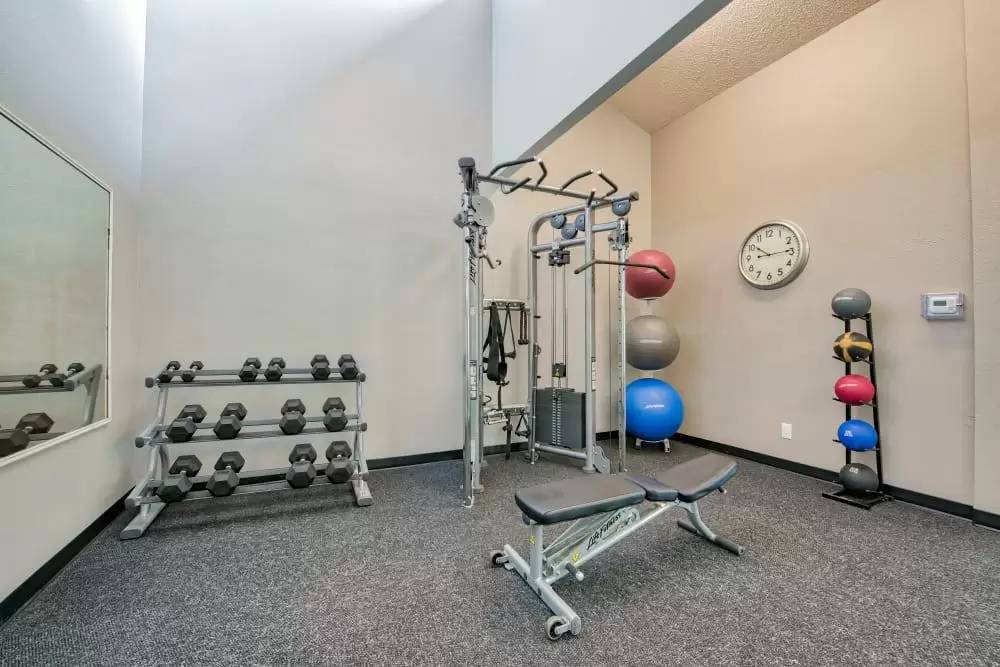 Property Image 14