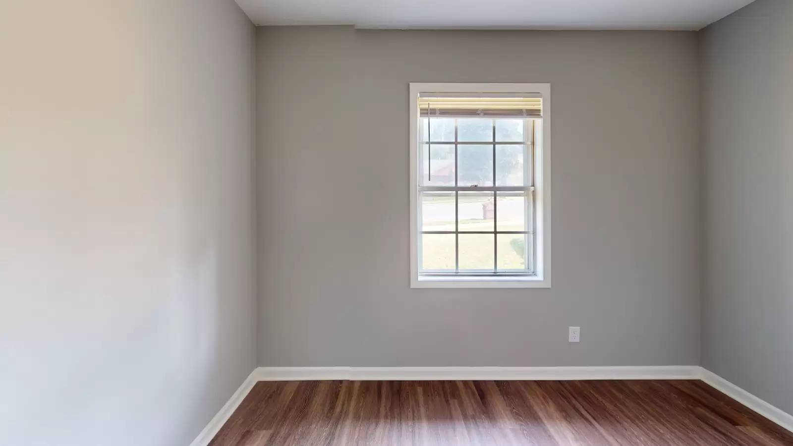 cover background