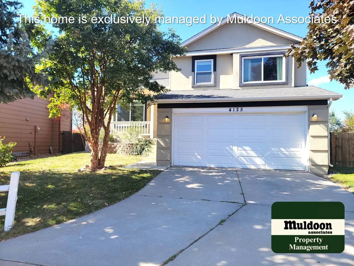 cover background