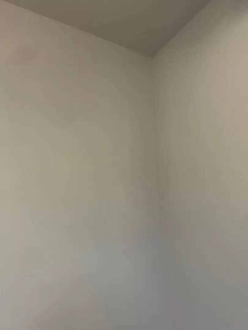 cover background