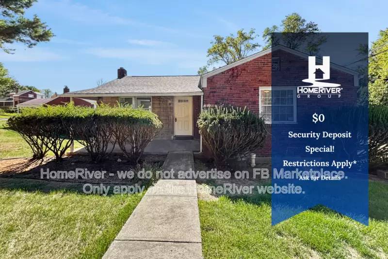 cover background