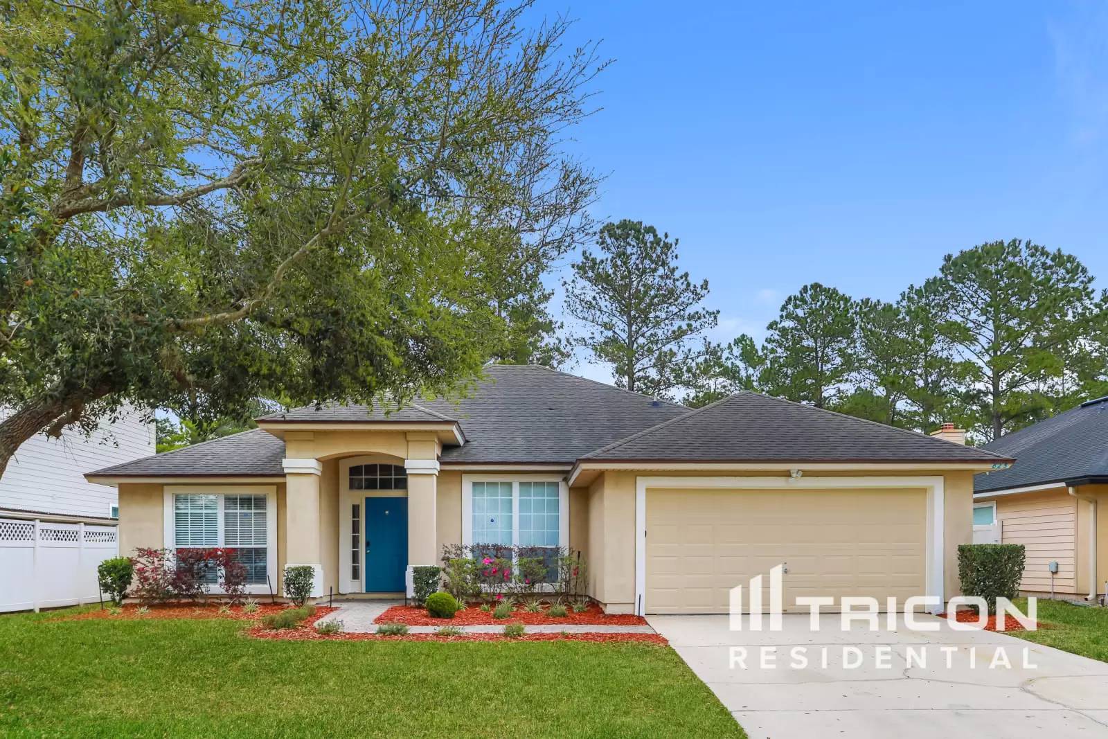 cover background
