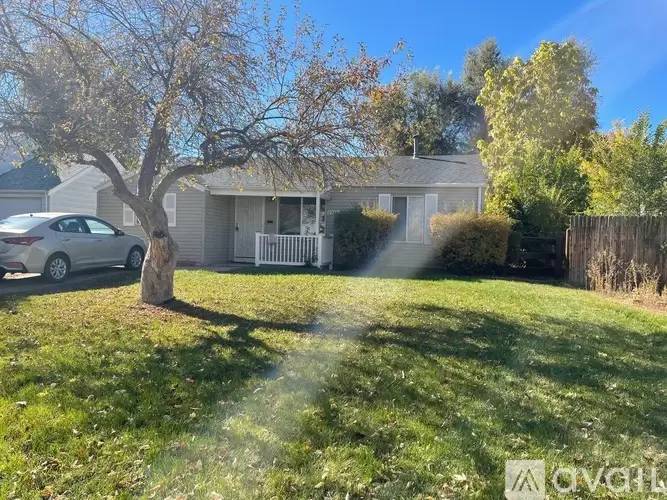 cover background