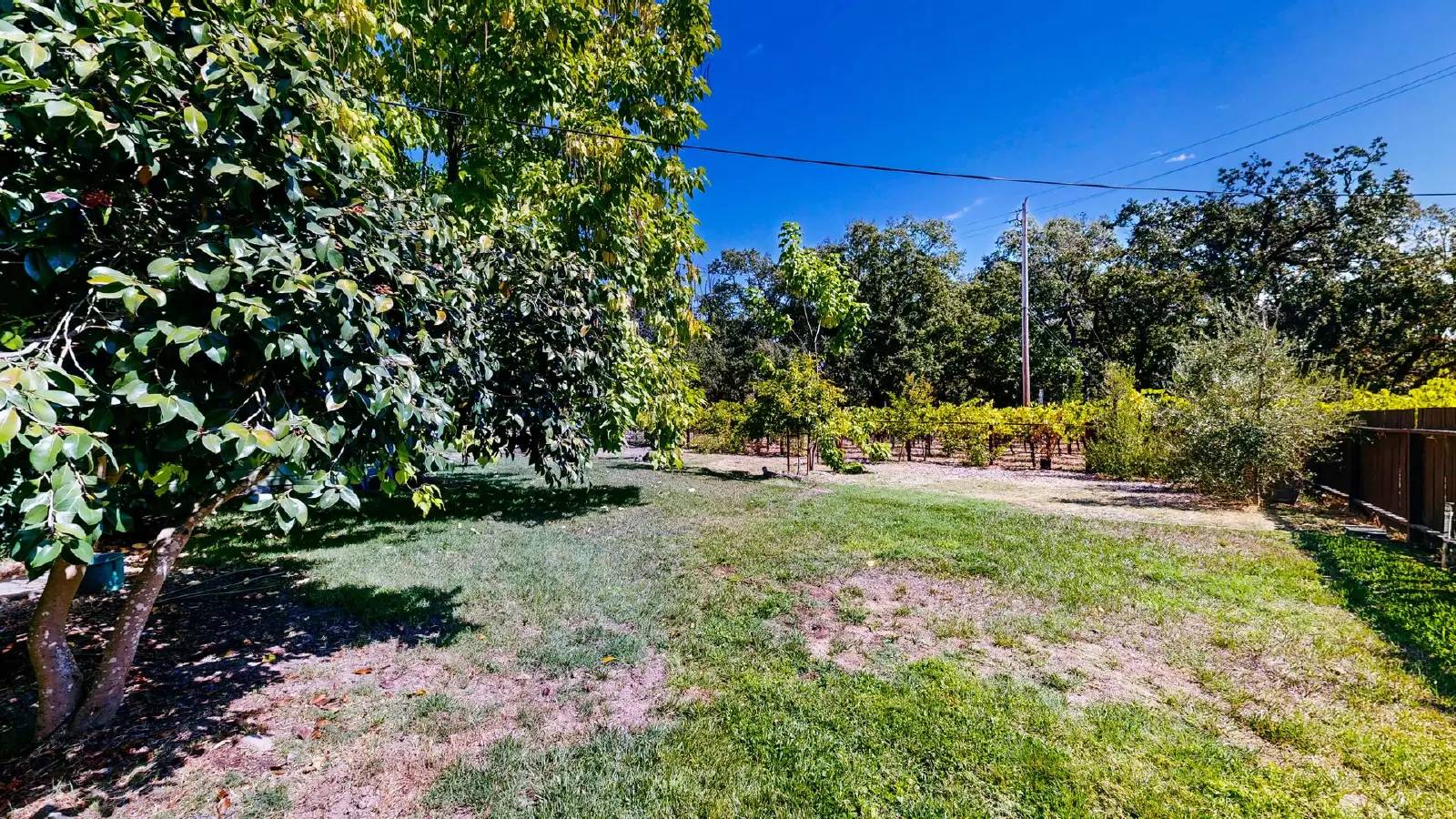Property Image 82