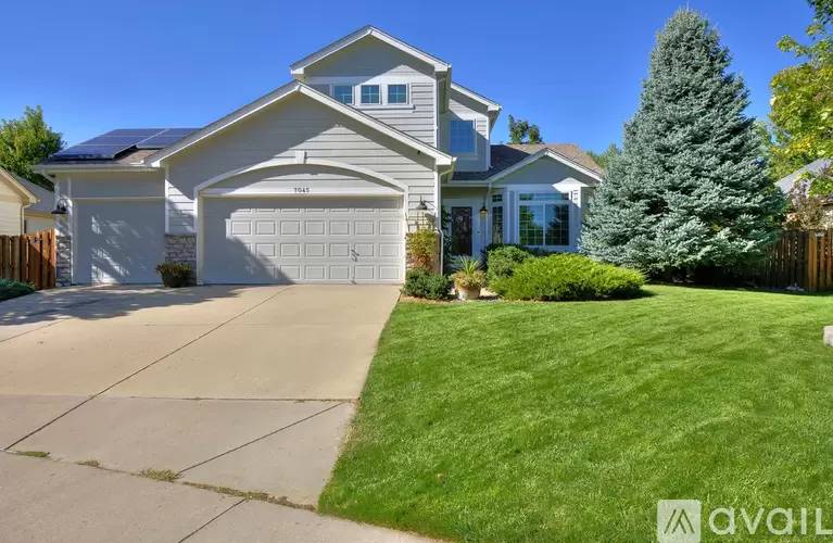 cover background