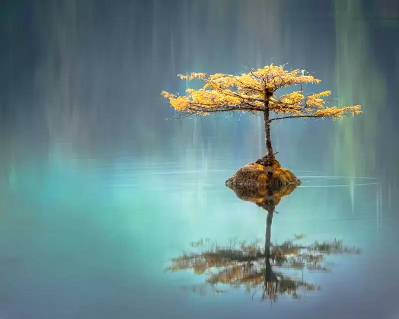 cover background