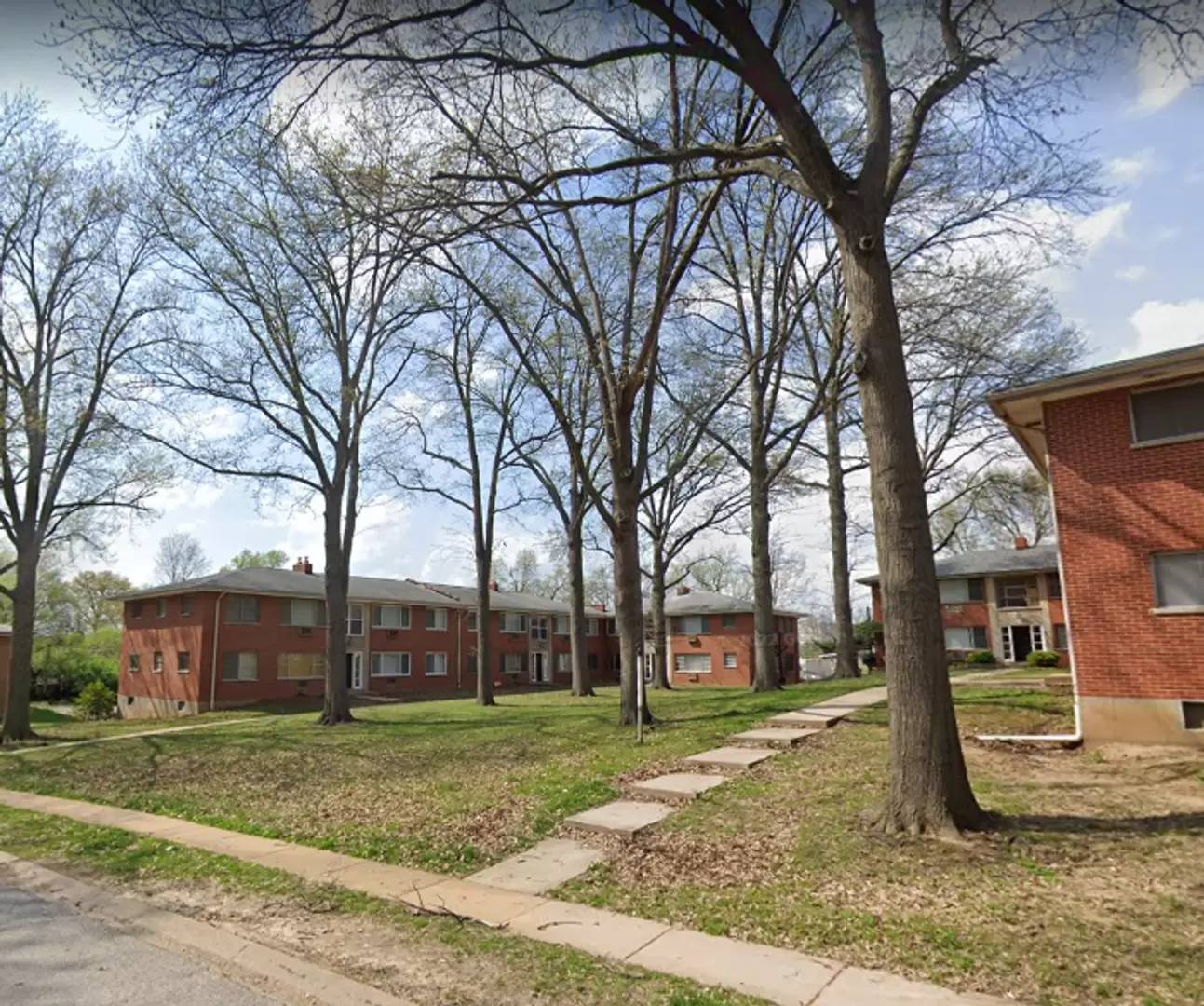 cover background