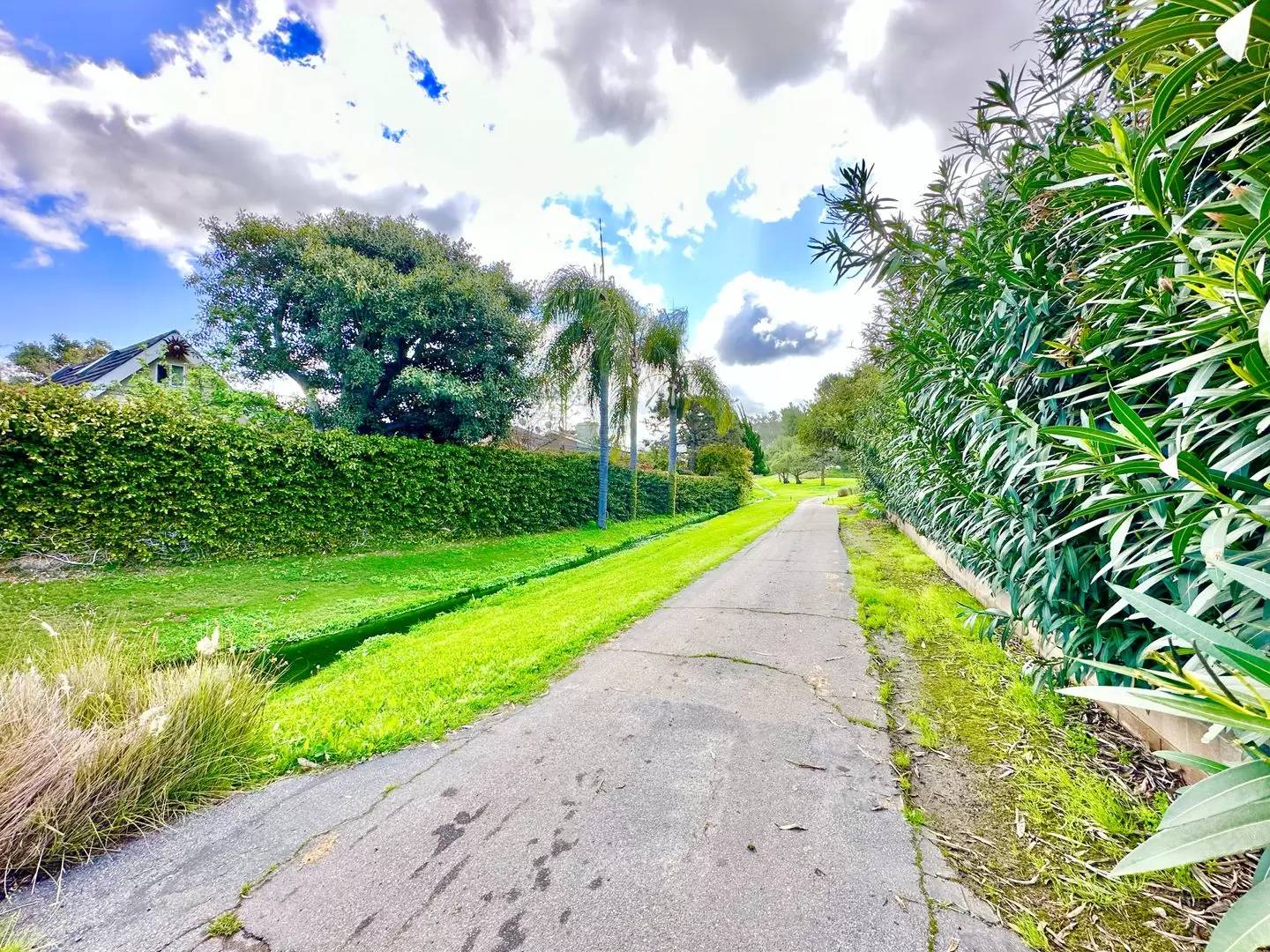 Property Image 56