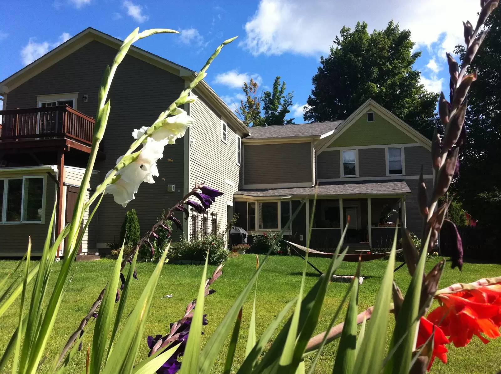 Property Image 21