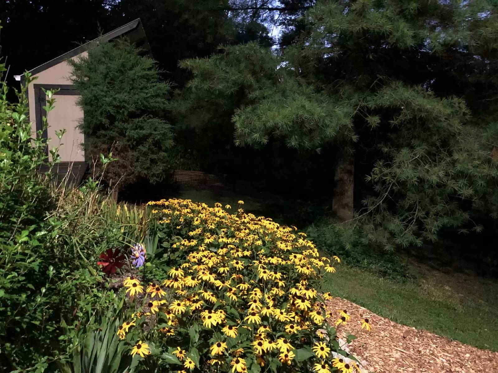 Property Image 46