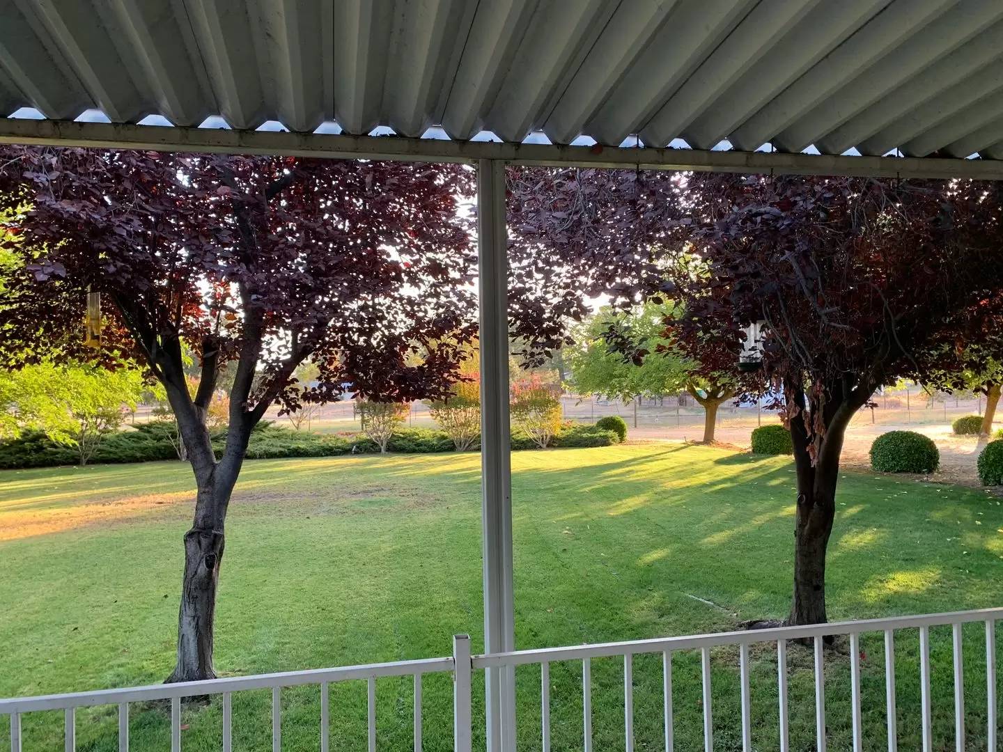 Property Image 42