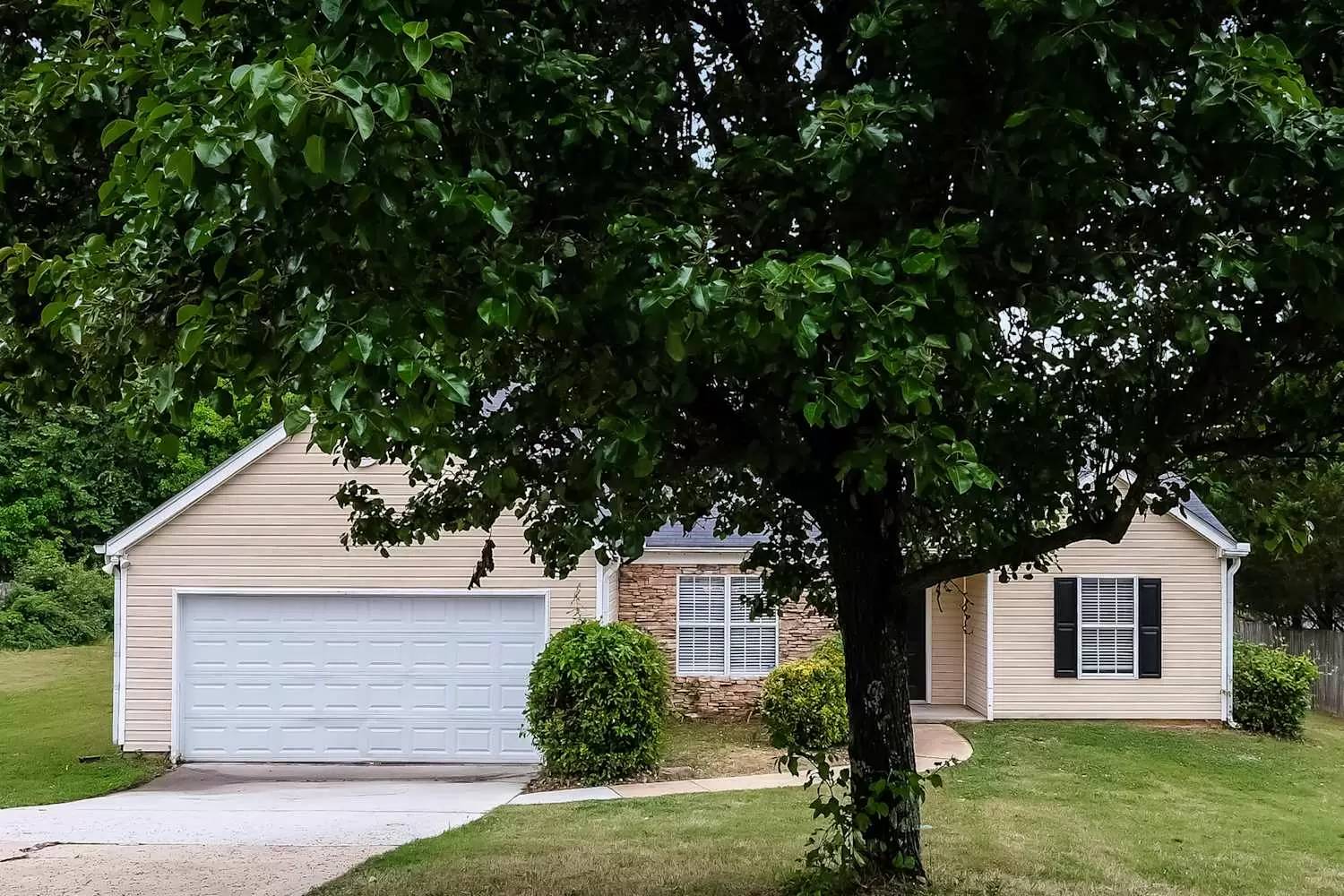 cover background