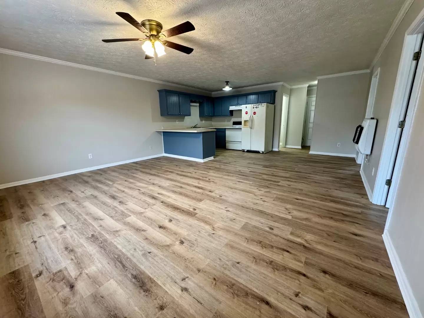 cover background