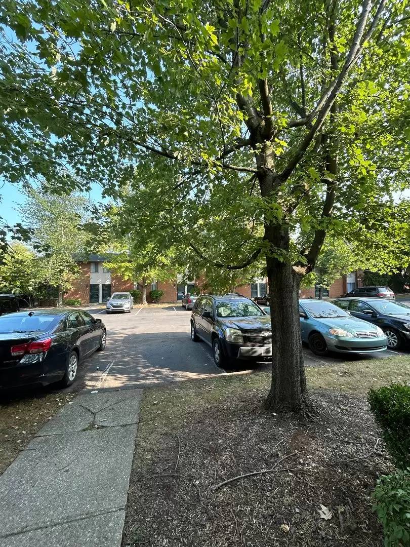 Property Image 53