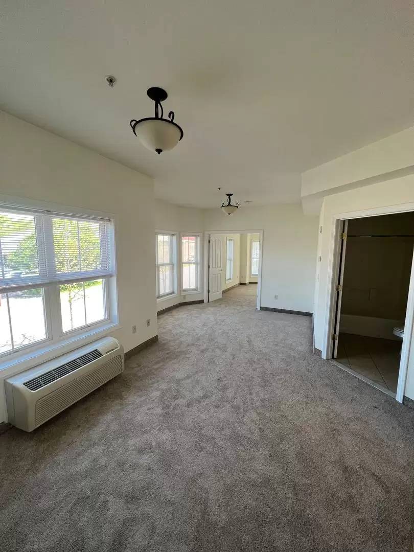 cover background
