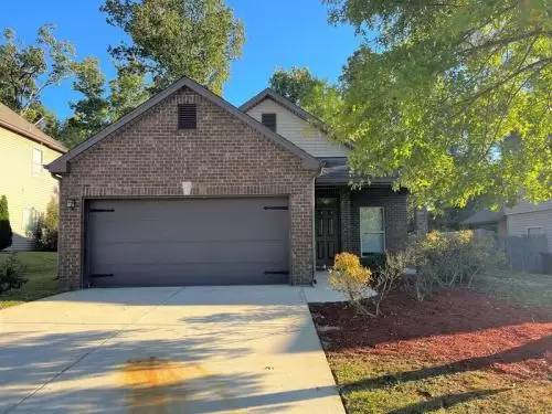 cover background
