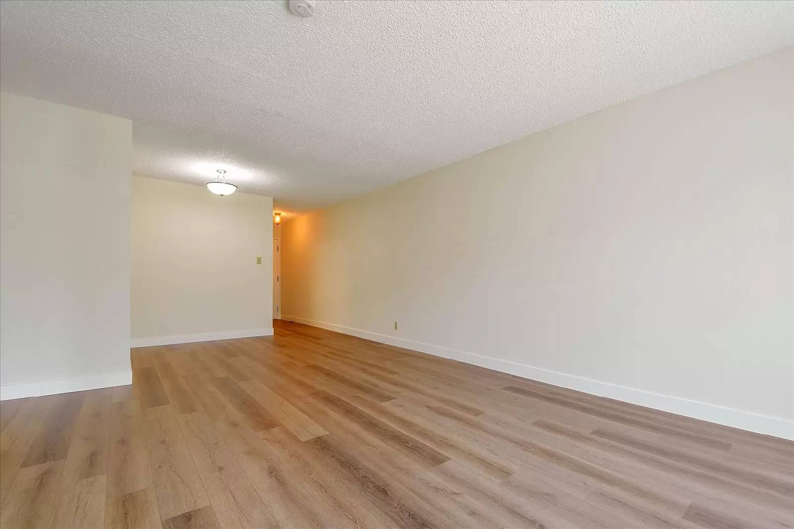 cover background
