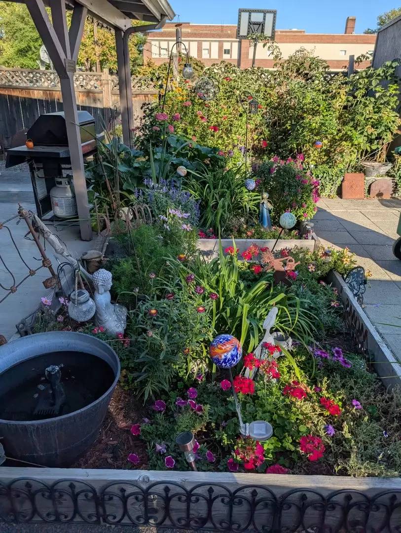 Property Image 11