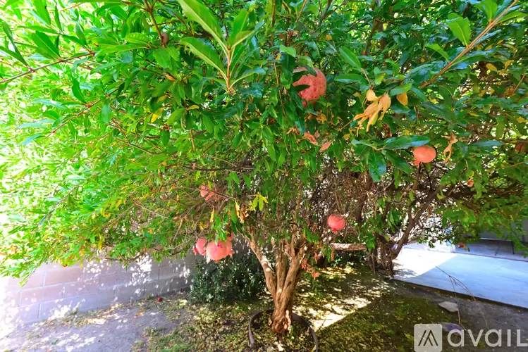 Property Image 66