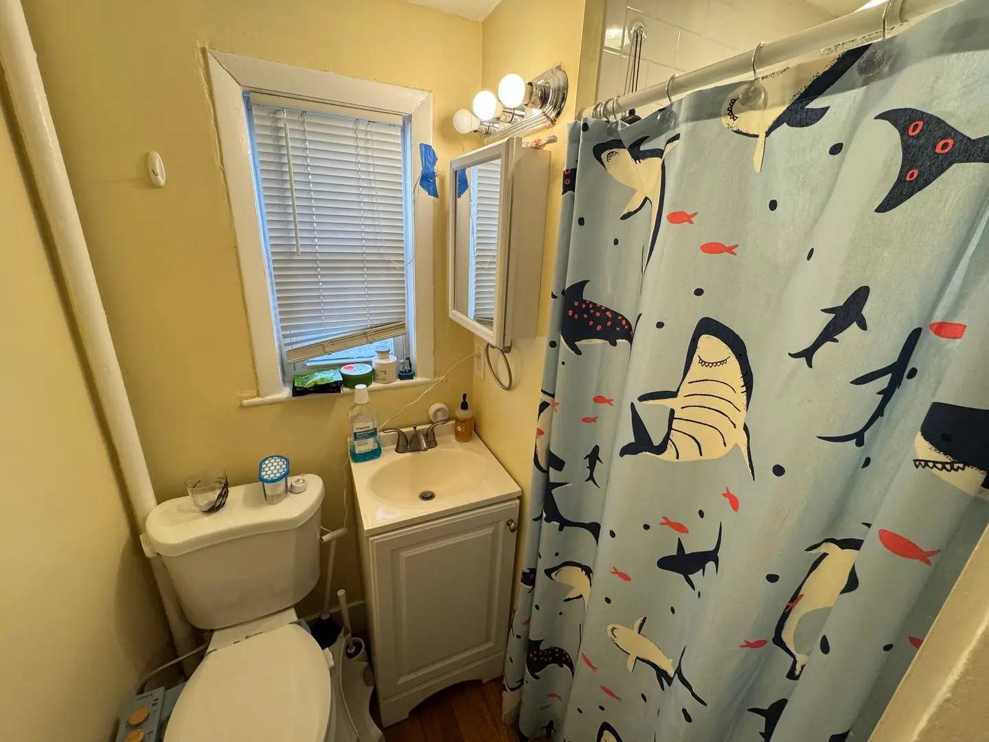 Property Image 39