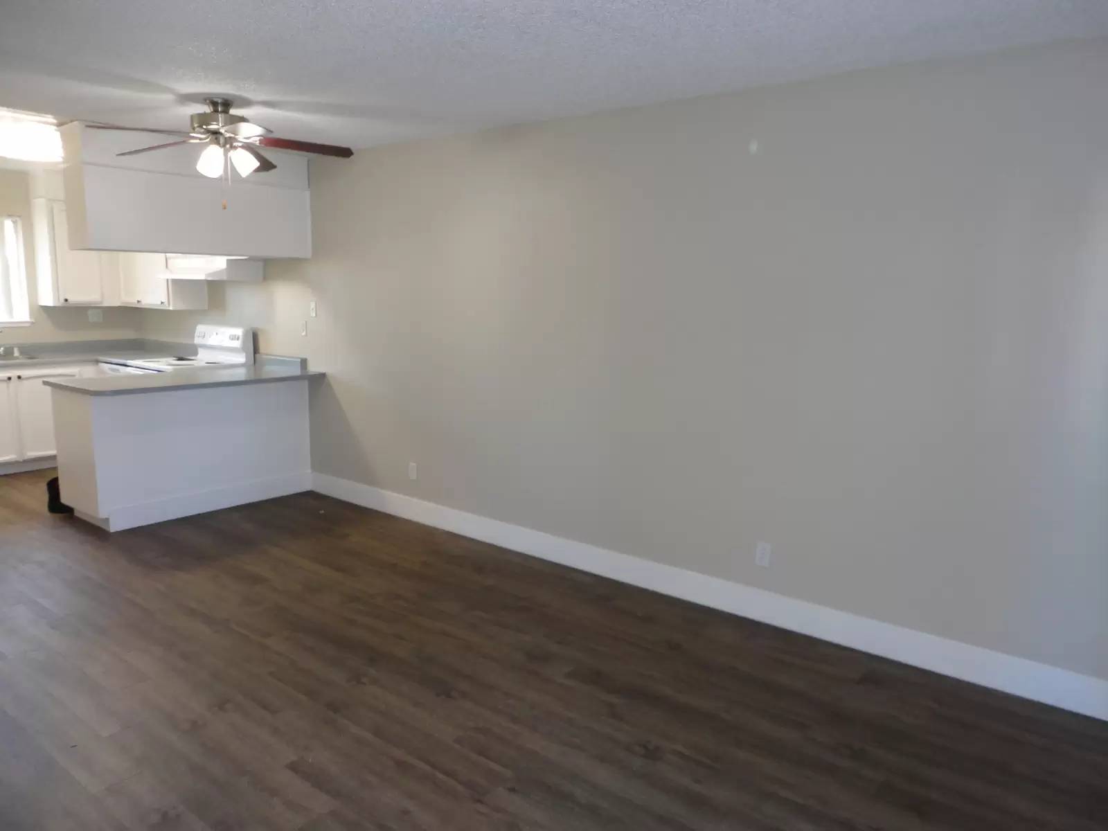 cover background