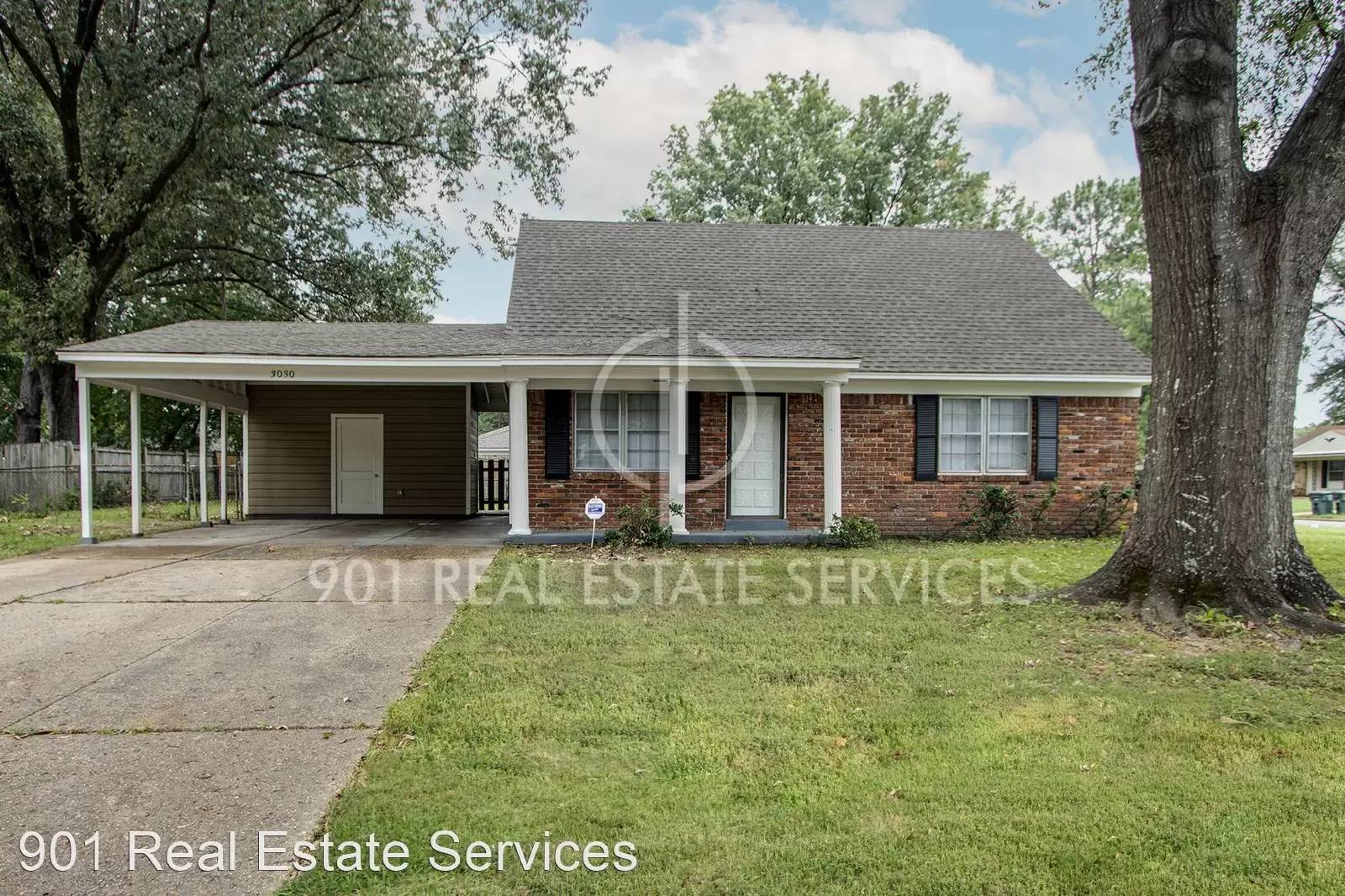 cover background