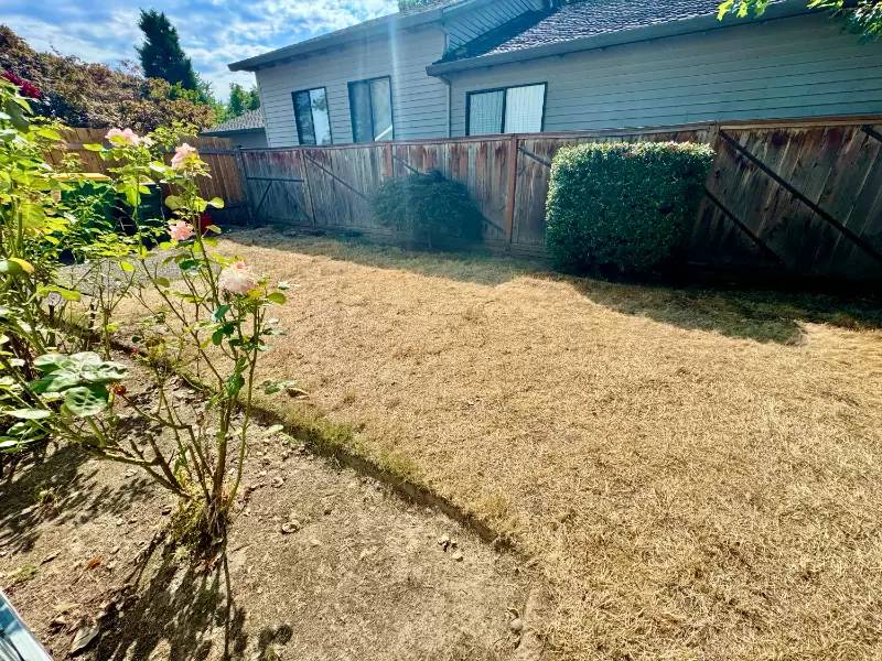 Property Image 97