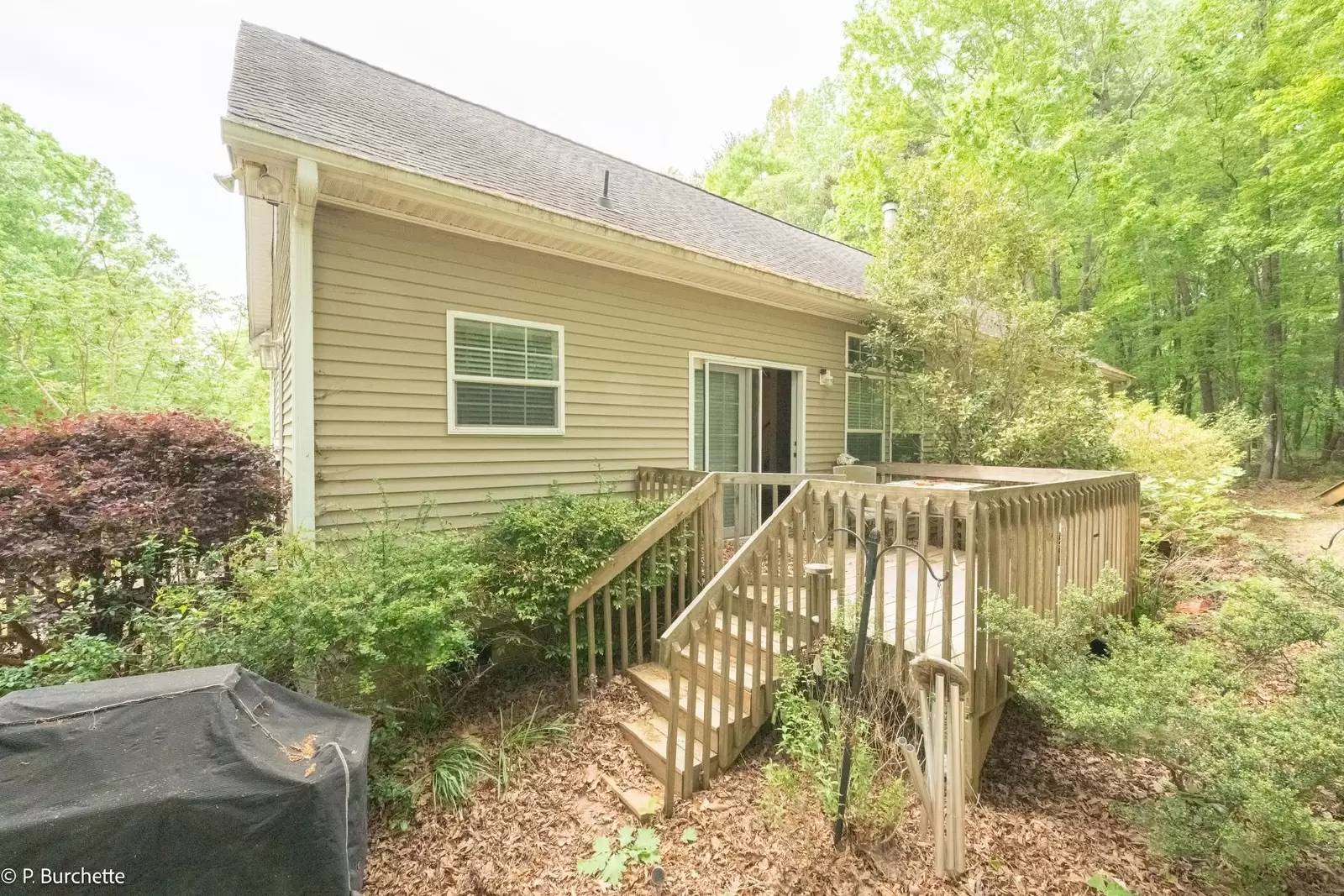 Property Image 42