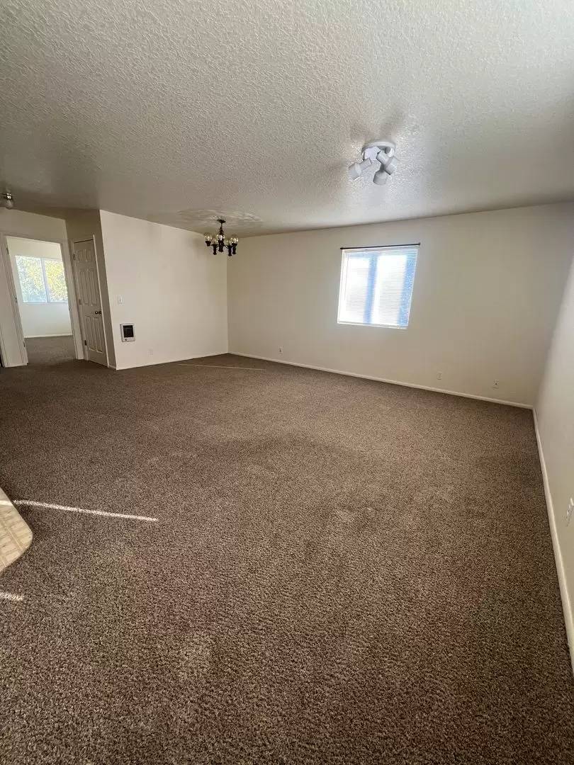 cover background