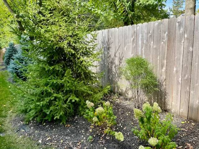 Property Image 66