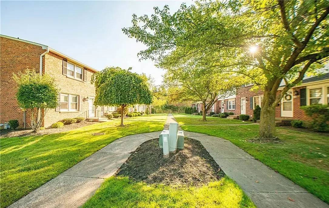 cover background