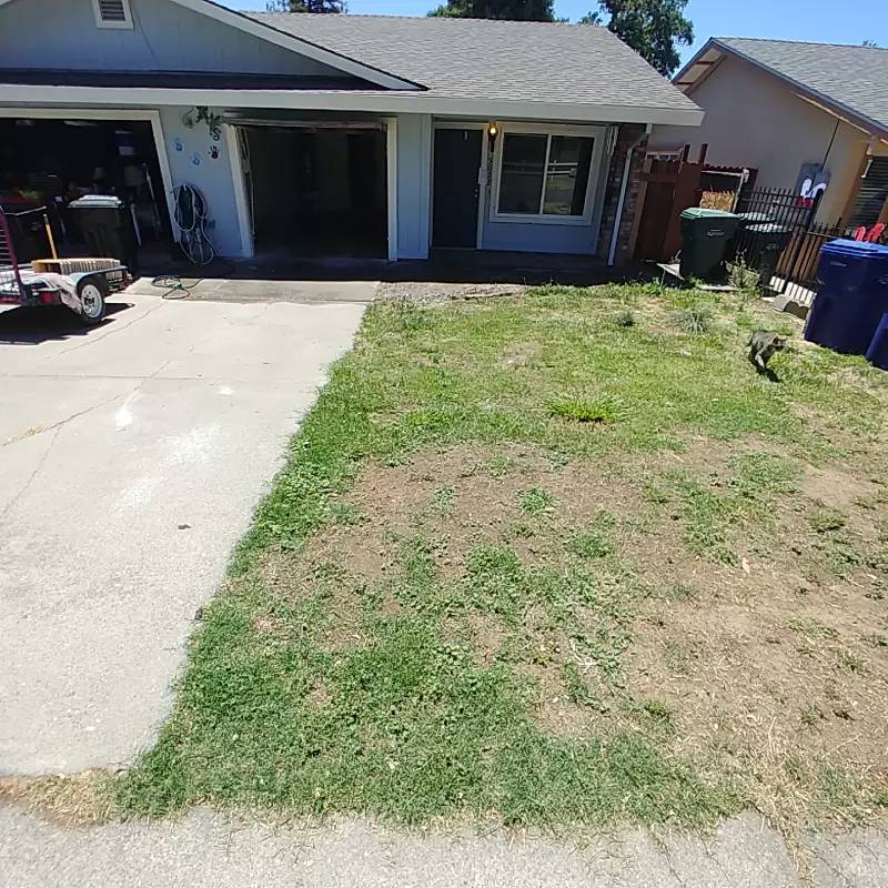 Property Image 54