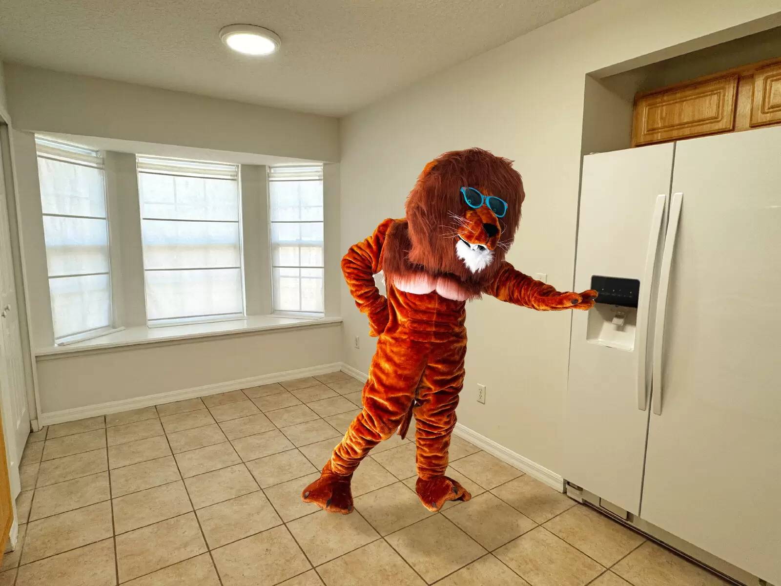 Property Image 11